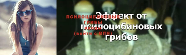 прущая мука Абинск